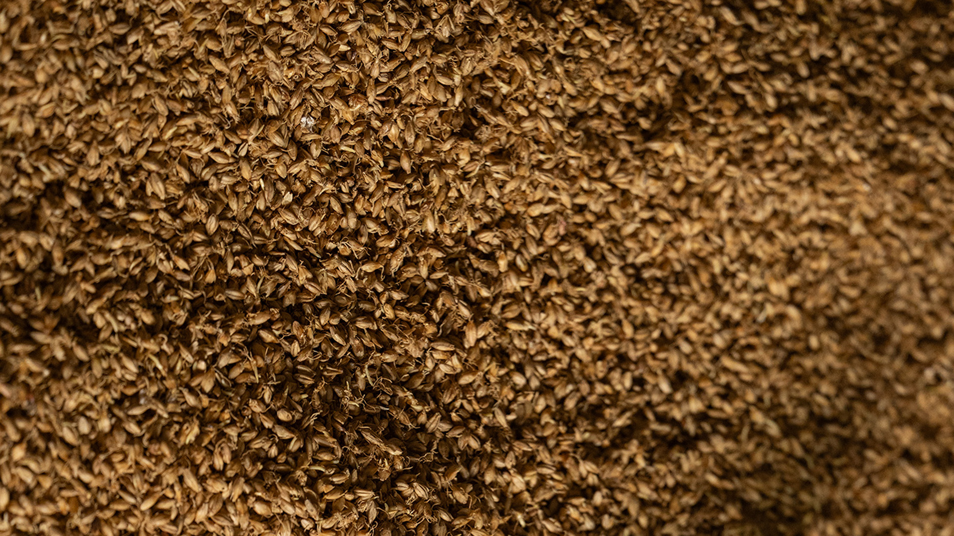 Grain Background
