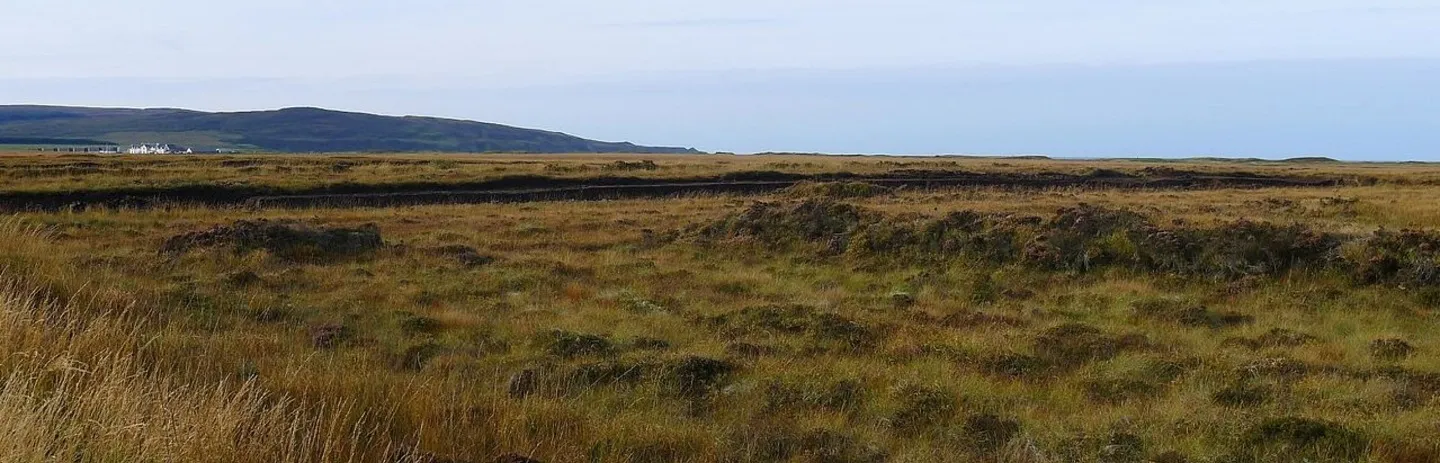 Peat Bog Moorland Cut Banks Islay Landscape Laphroaig