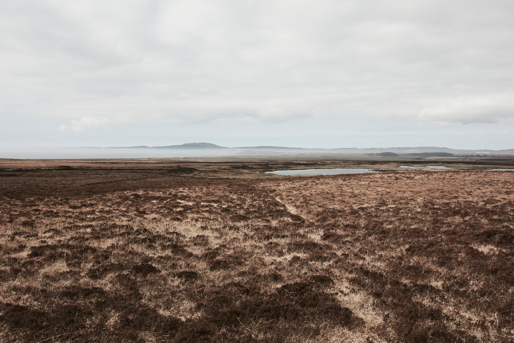 Laphroaig Scotland Distillery 2024 Image