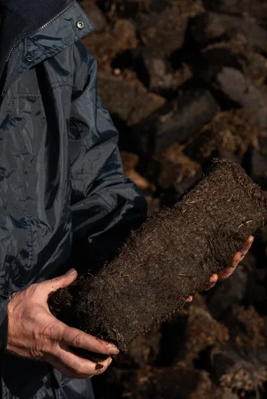 Peated vs Non Peated Article Card