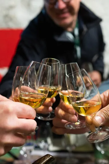 People cheering with glasses of wine