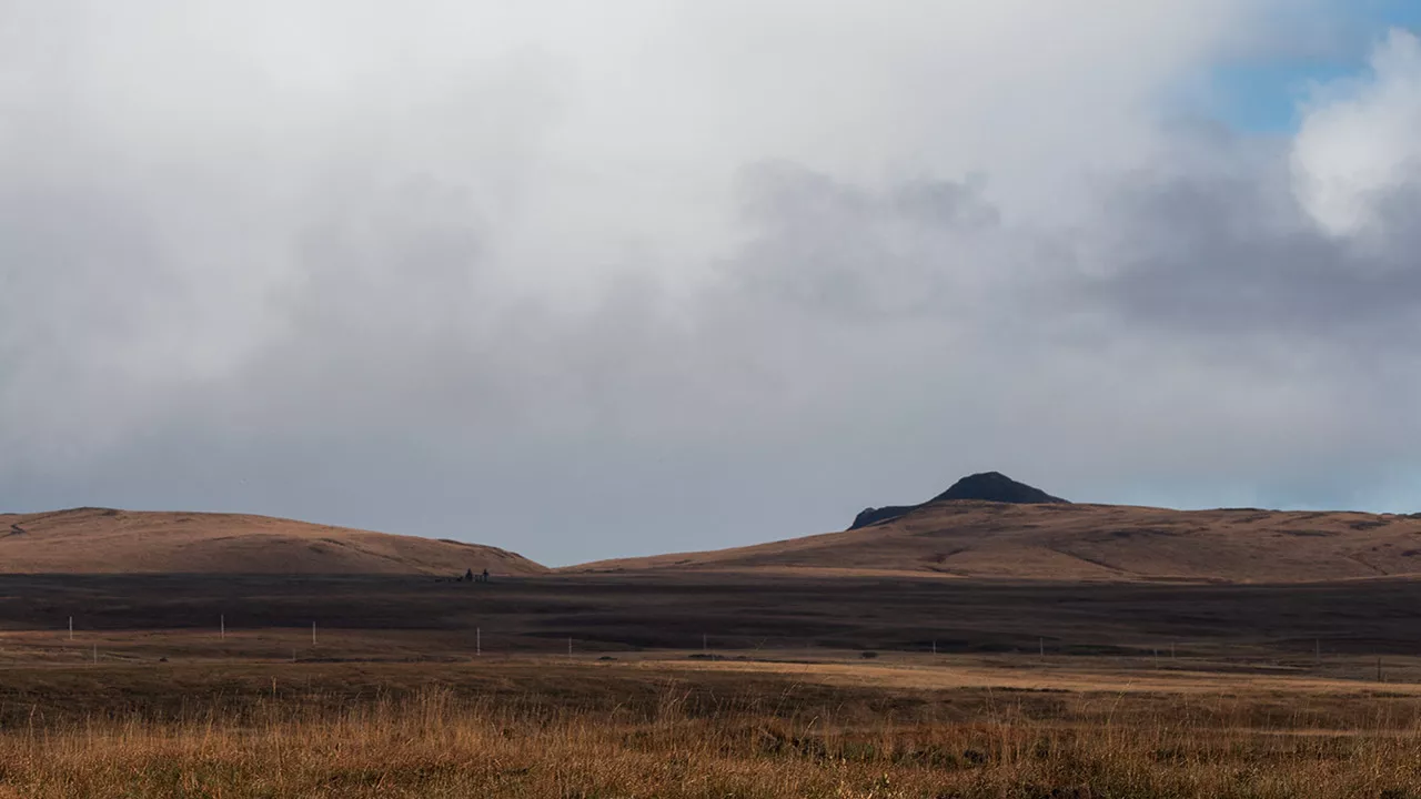 Grain field on the isle of Islay whisky with a cloudy horizon