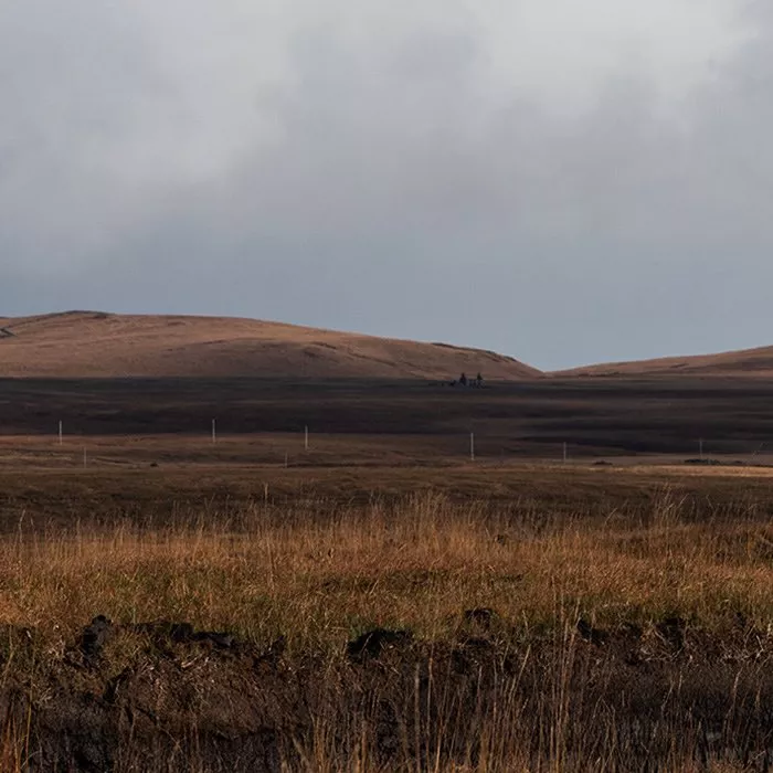 Grain field on the isle of Islay whisky with a cloudy horizon