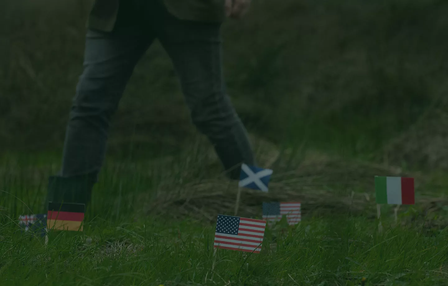 Various flags and a person in the background