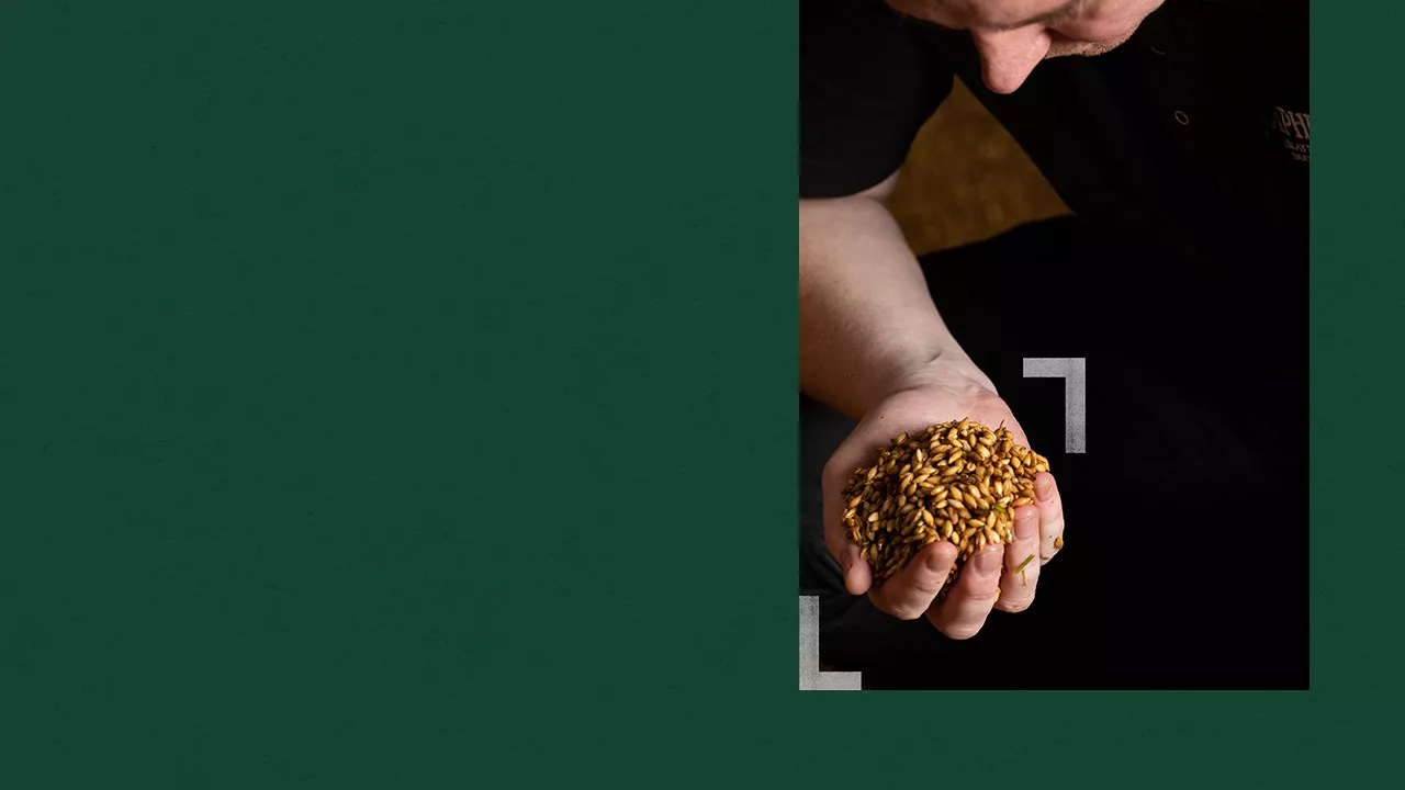 laphroaig experience islay distillery tour