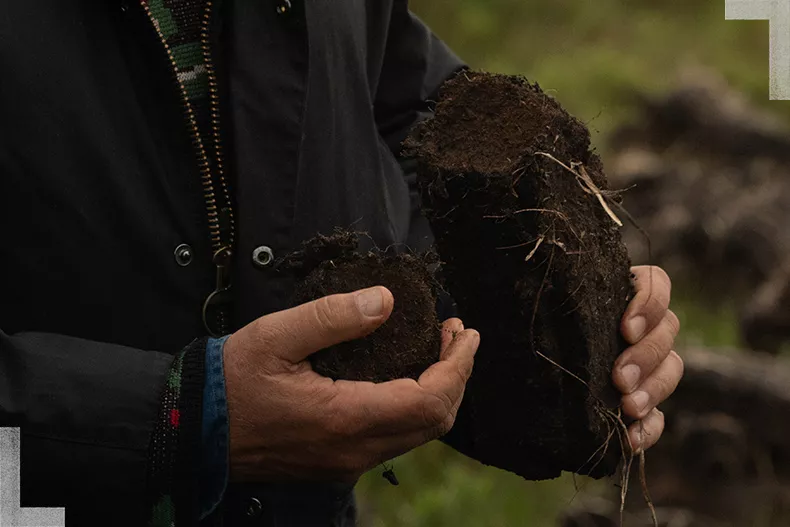 taste trailblazers tales of peat