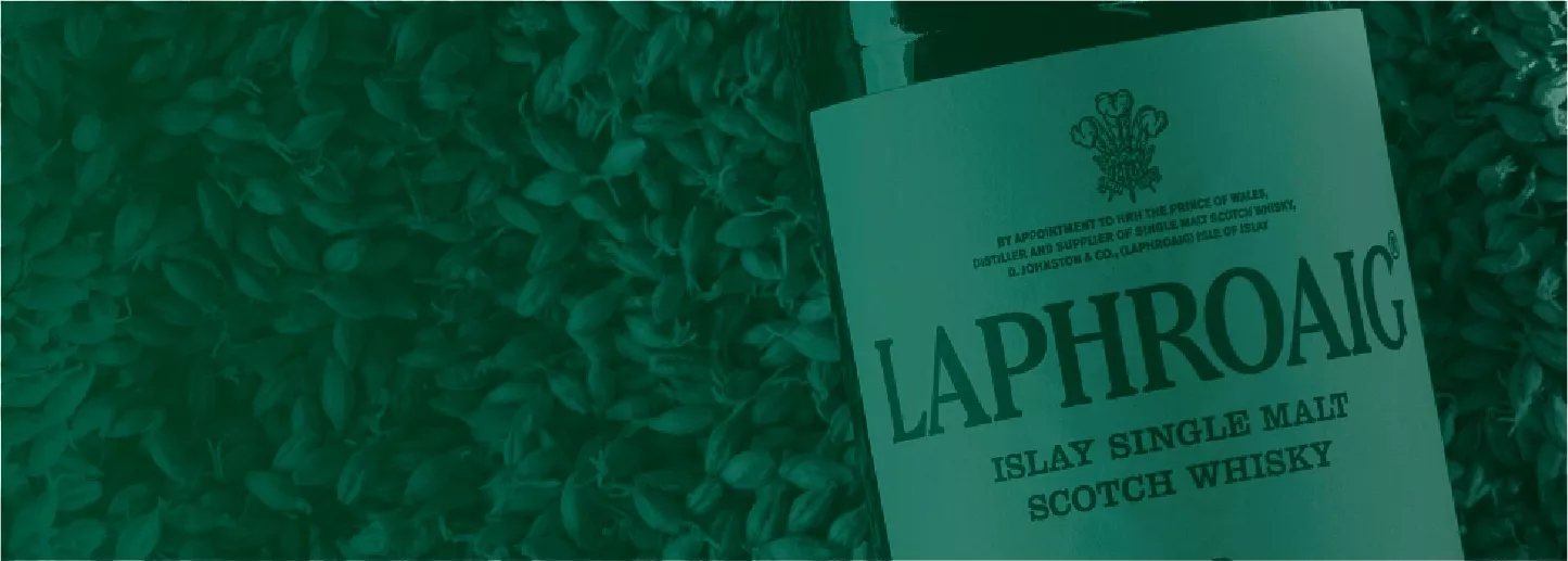 Background_grain_green_trasnparent