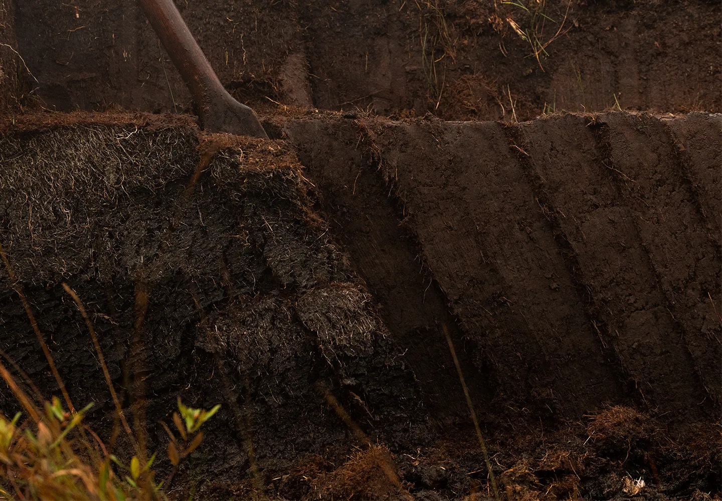 Our_land_earth_peat_landscape_test