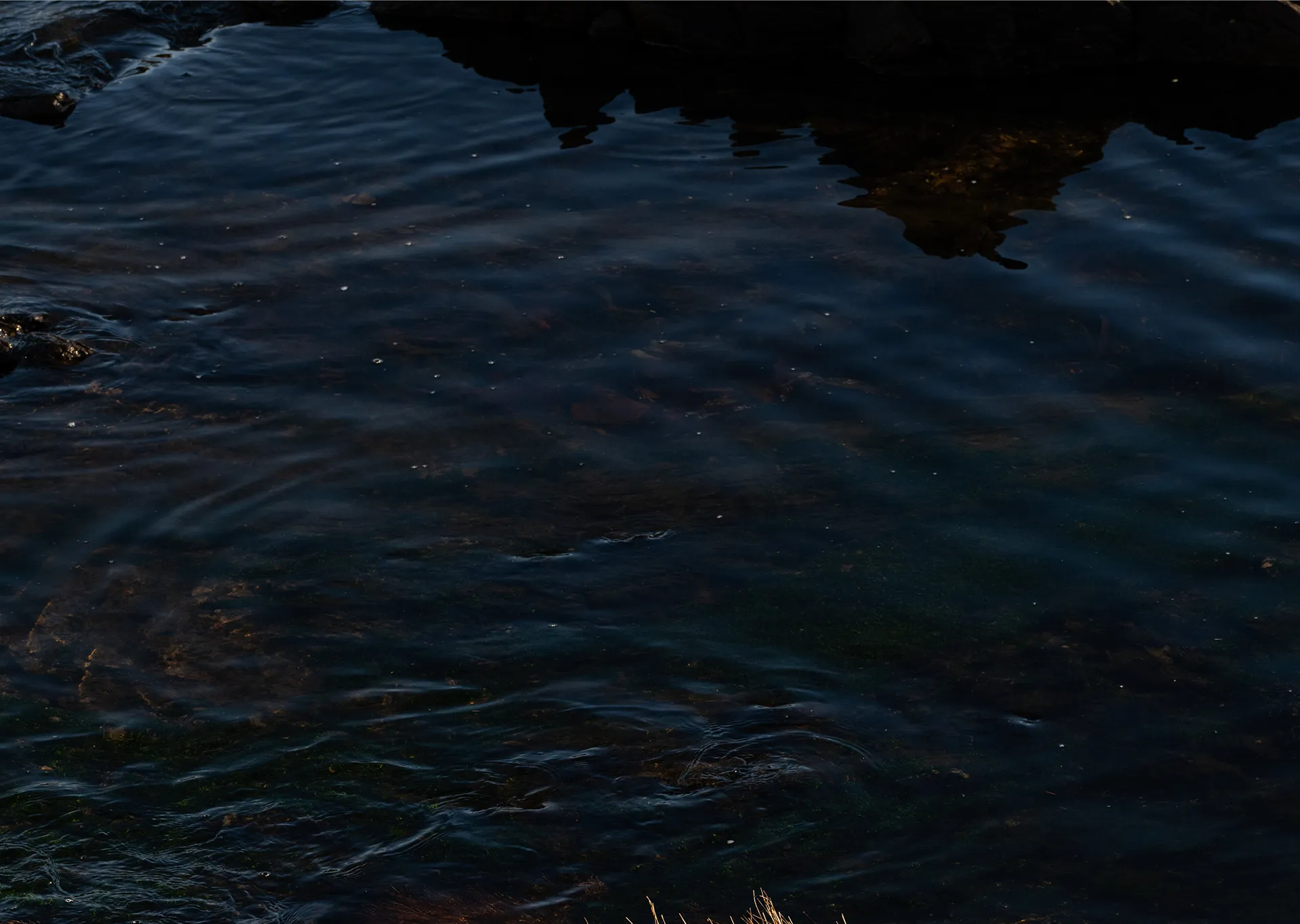 Our_land_water_kilbride_streams_test