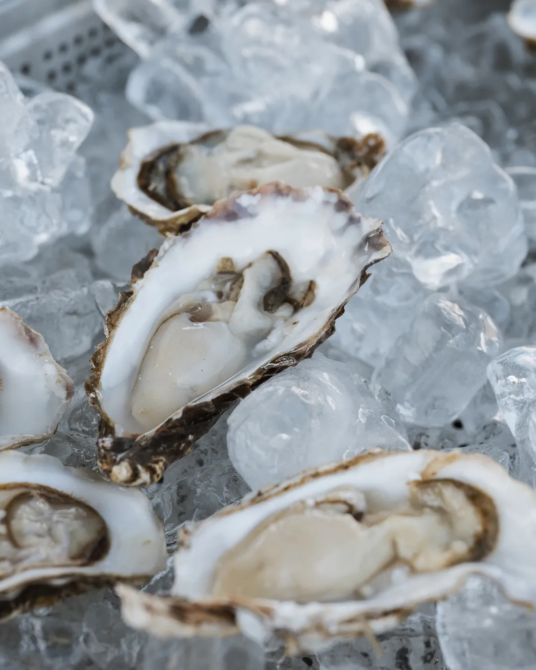 Oysters_Feis_Ile
