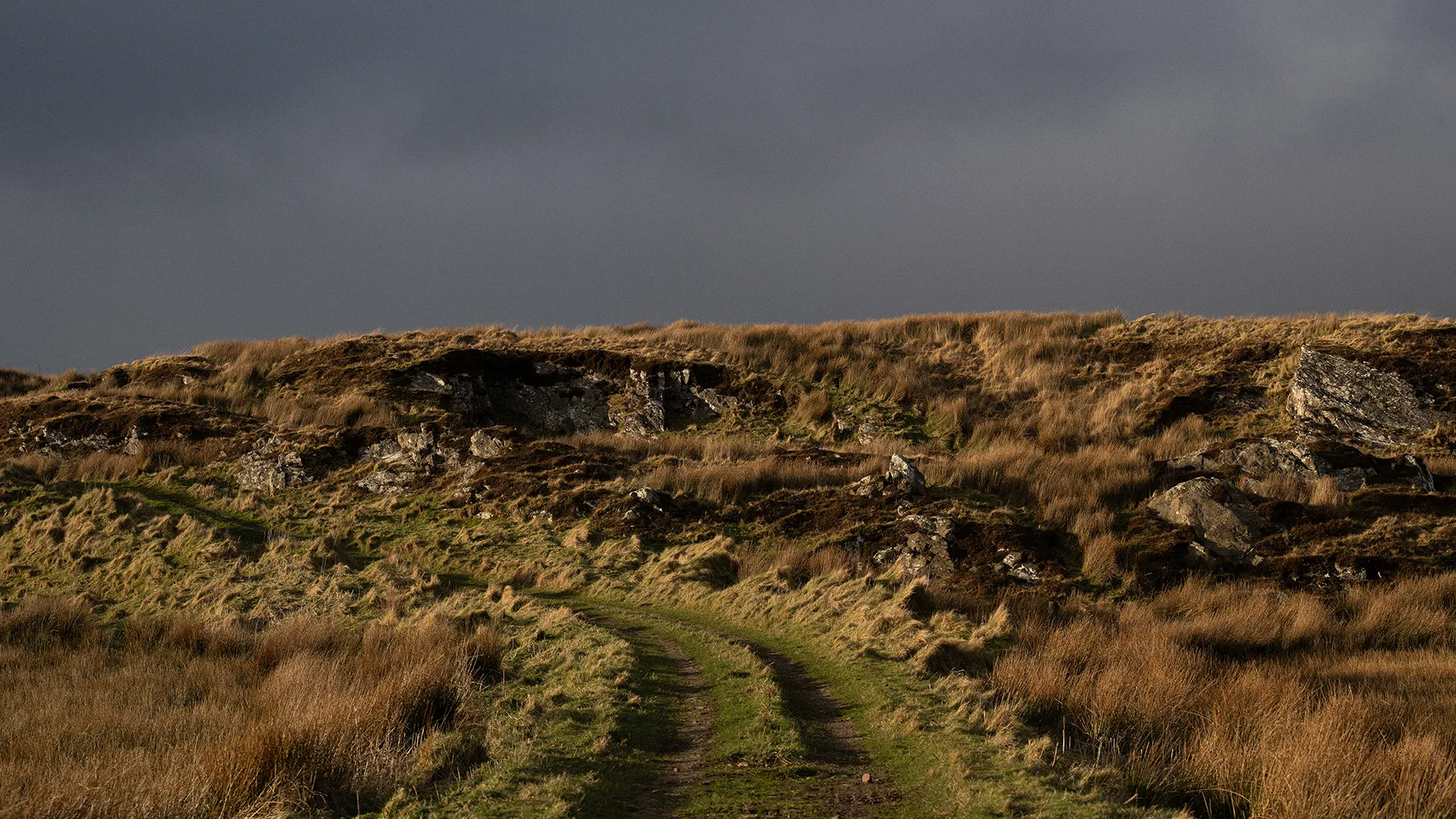 FOLs Fields