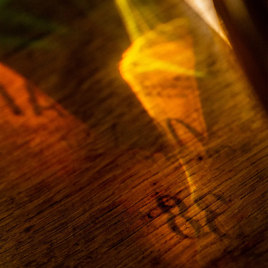 Archive Teaser 1
