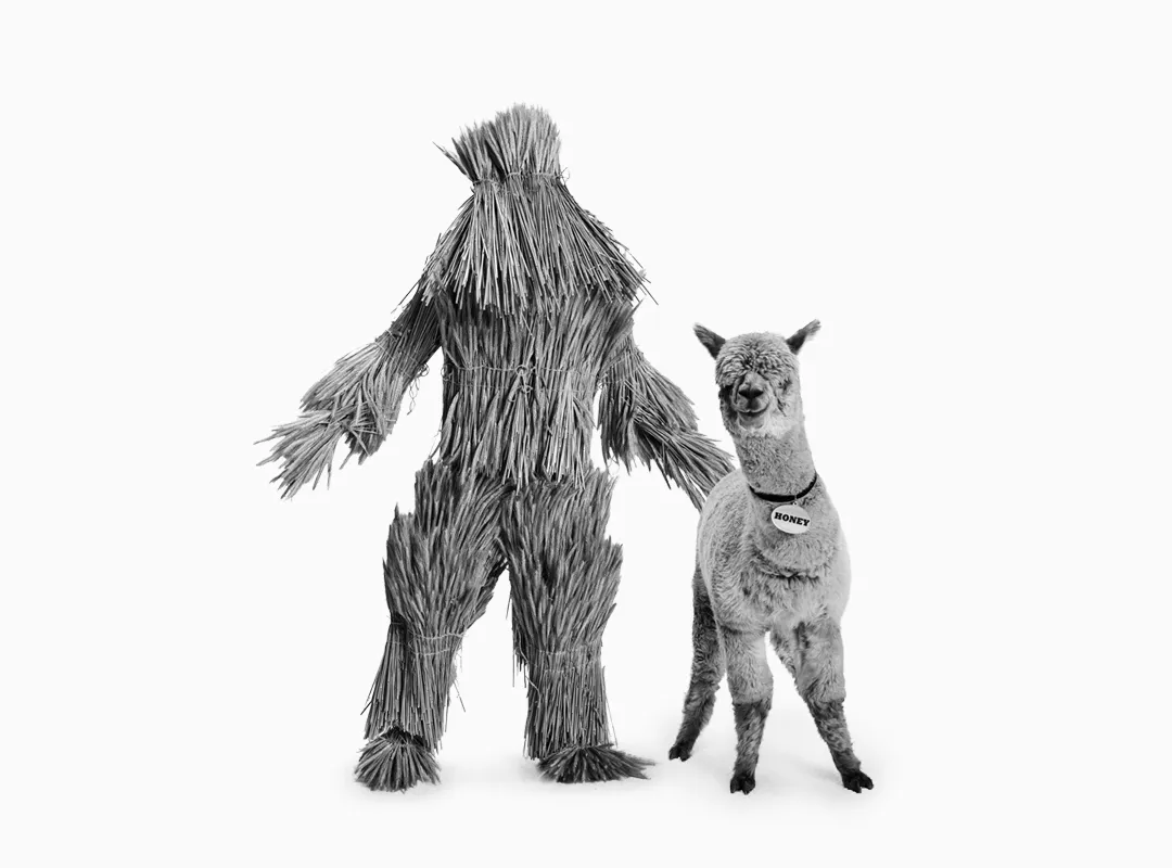 BM-and-Alpaca-only-smaller