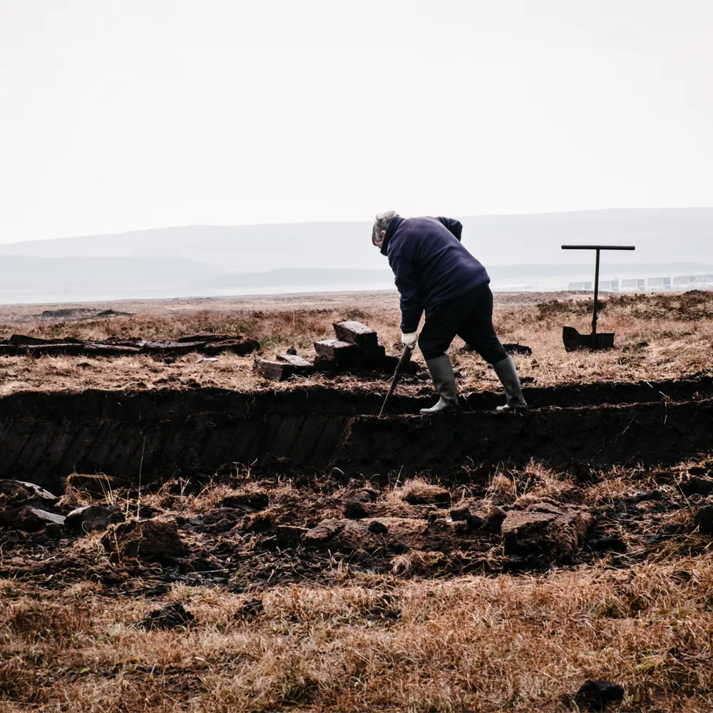 Islay Peat Fields