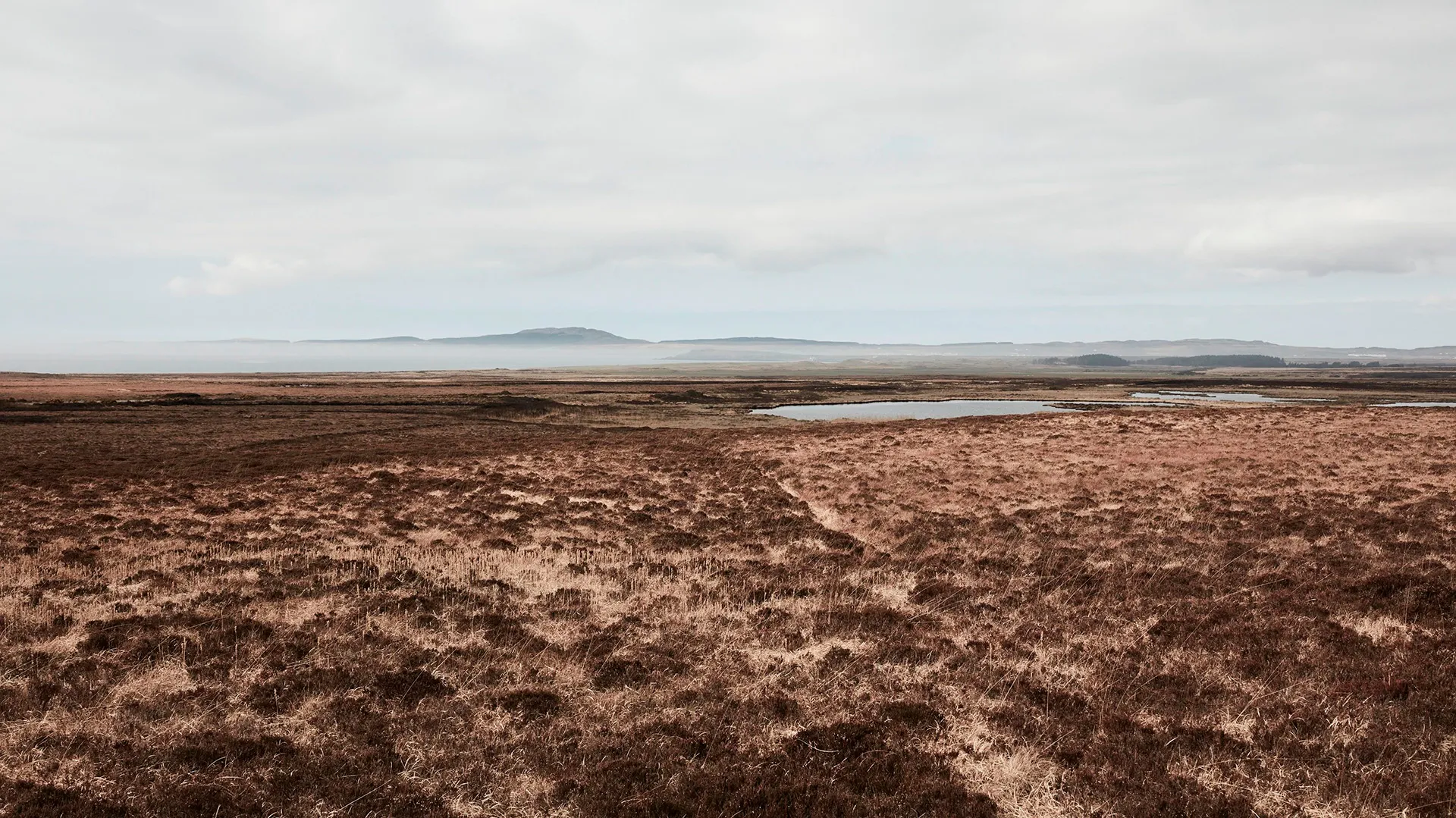 Peat_land-header