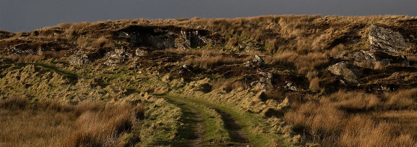 Islay Coastal Path Rocky Hillside Grassland Dramatic Light Laphroaig