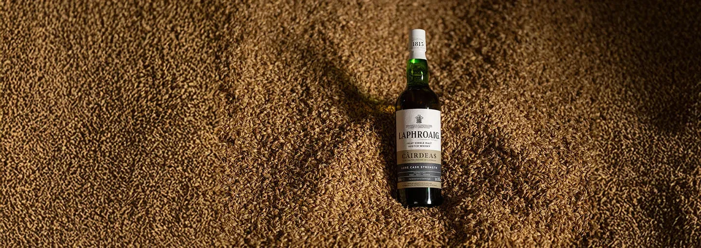 Single Malt Whisky Bottle Resting Barley Grain Texture Dramatic Lighting Laphroaig
